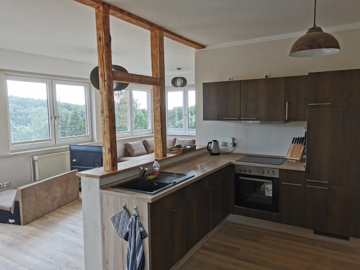 Ferienhaus Natur Pur Apartment Thale Ngoại thất bức ảnh